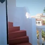 Duquesa *